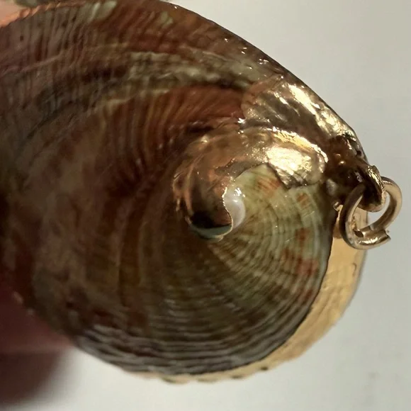 Vintage Abalone Shell Pendant With Gold Overlay EUC - Picture 7 of 8